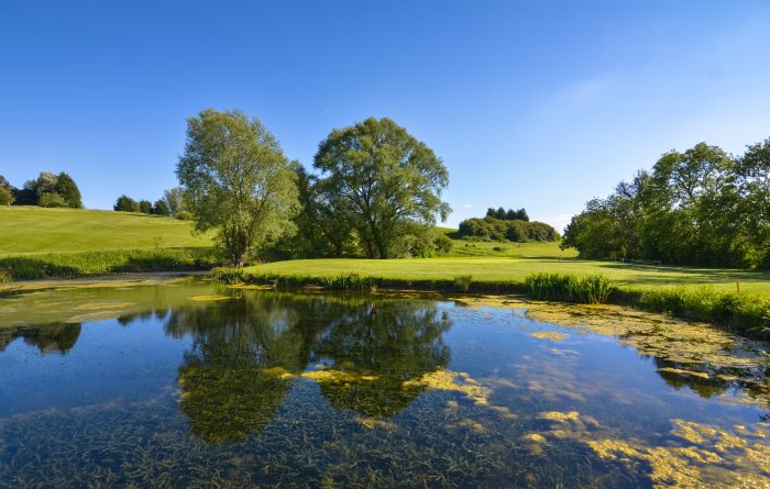 Image of golf course at Toft Golf Club