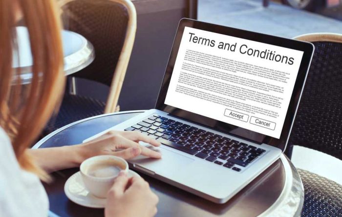 Woman reading terms and conditions on laptop in a cafe - Mincoffs Solicitors Commercial Services